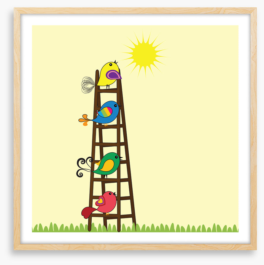 Sun ladder birds