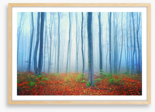 Autumn fairytale forest