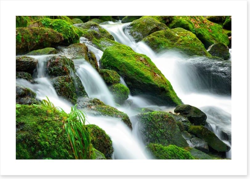 Green moss cascades