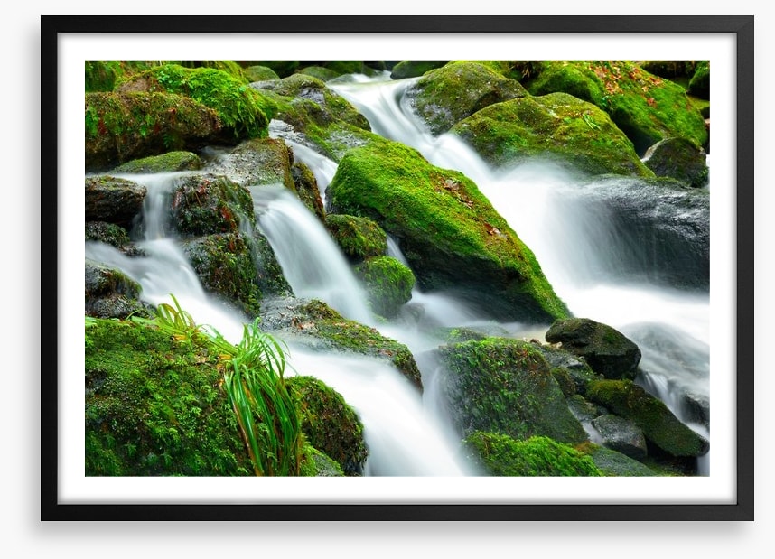Green moss cascades
