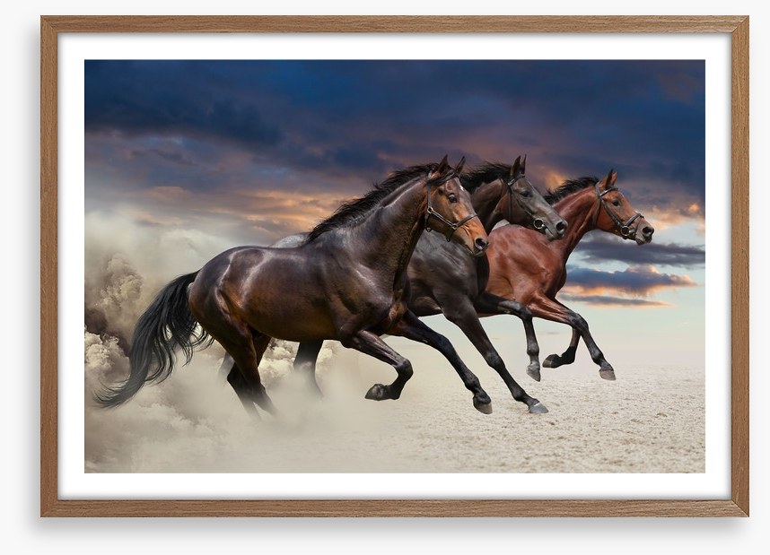 Sandy gallop