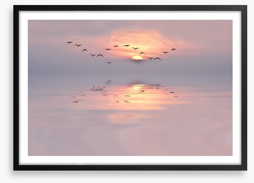 Soft pink dawn