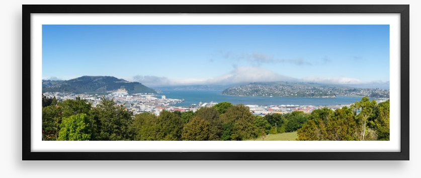 Otago Bay panorama