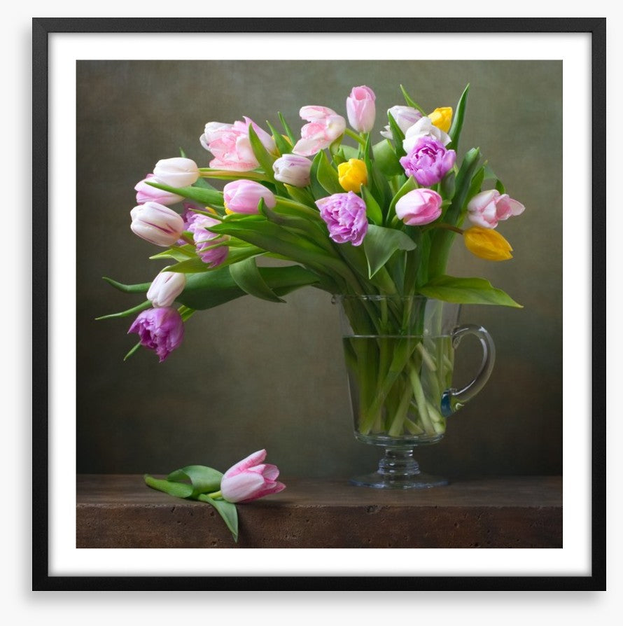 Still Life