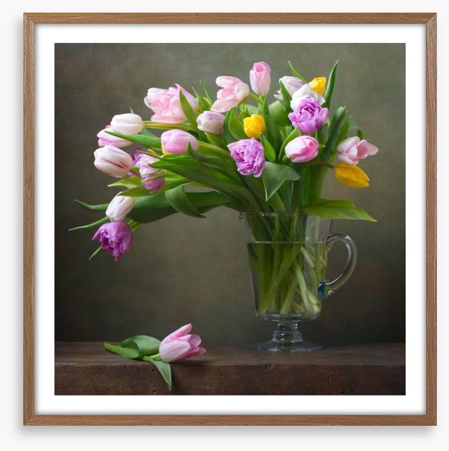 Still Life