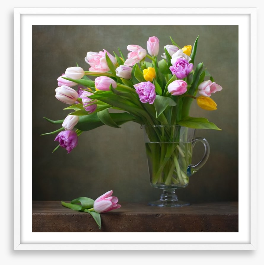 Still Life