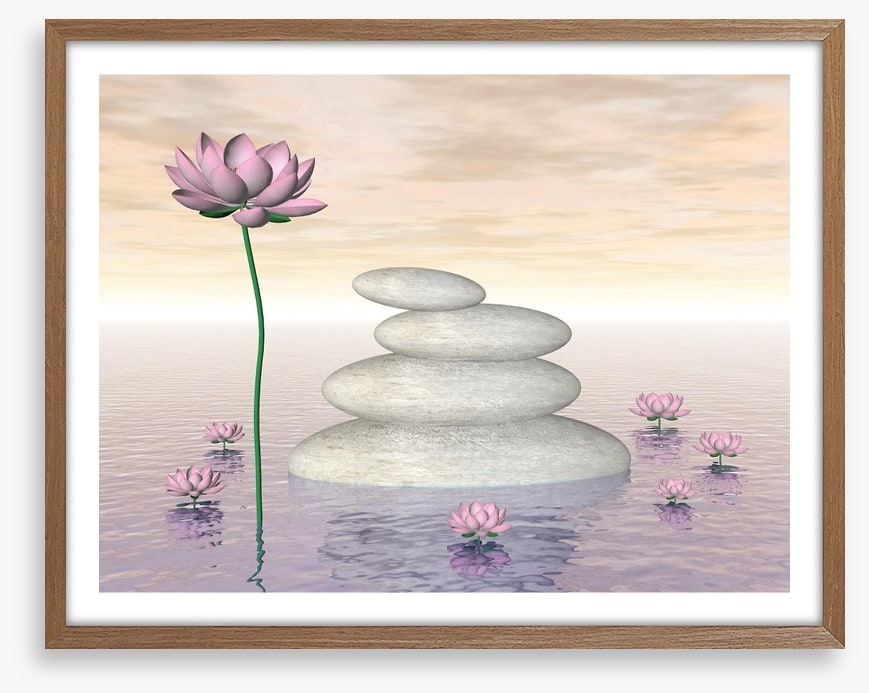 Pink lily zen