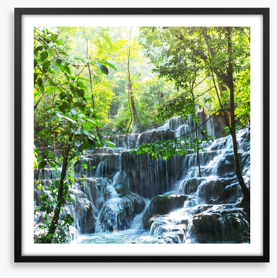 Lush jungle falls