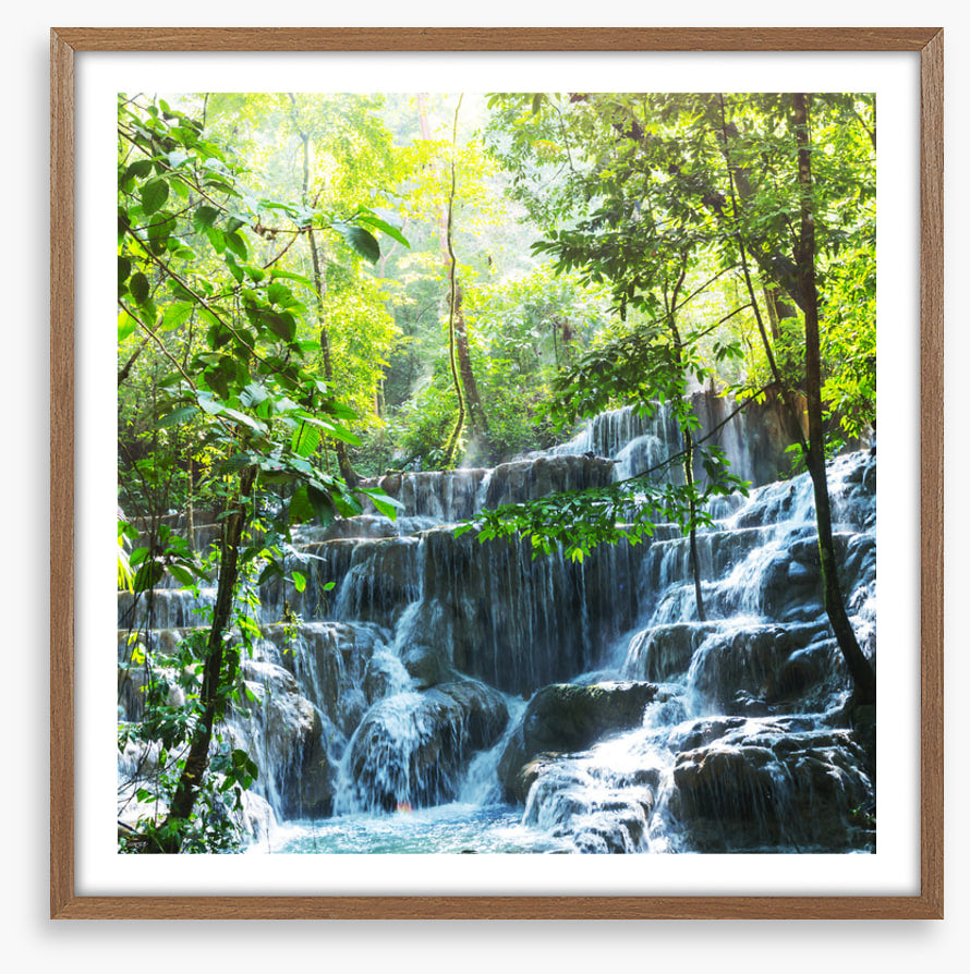 Lush jungle falls