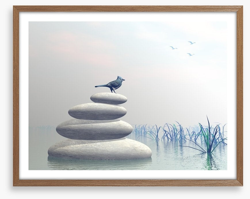 Bird of peace
