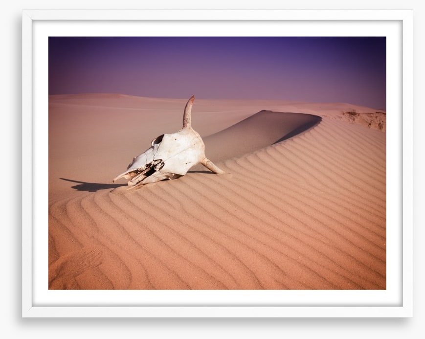 Desert