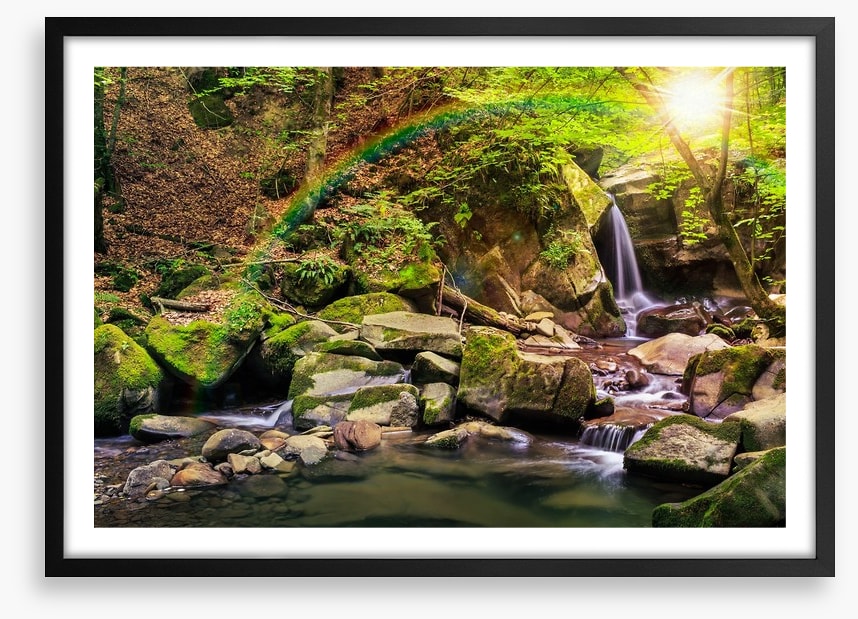 Forest falls rainbow