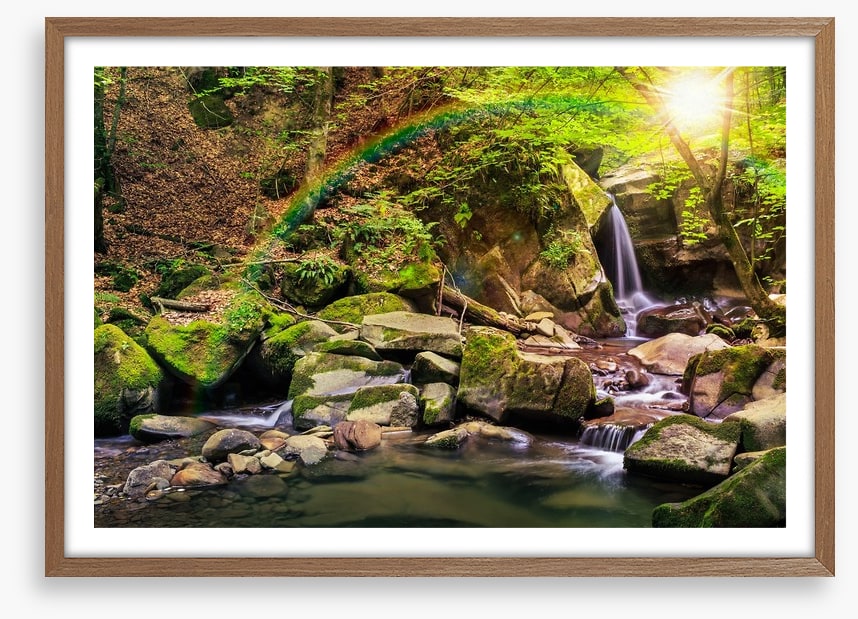 Forest falls rainbow
