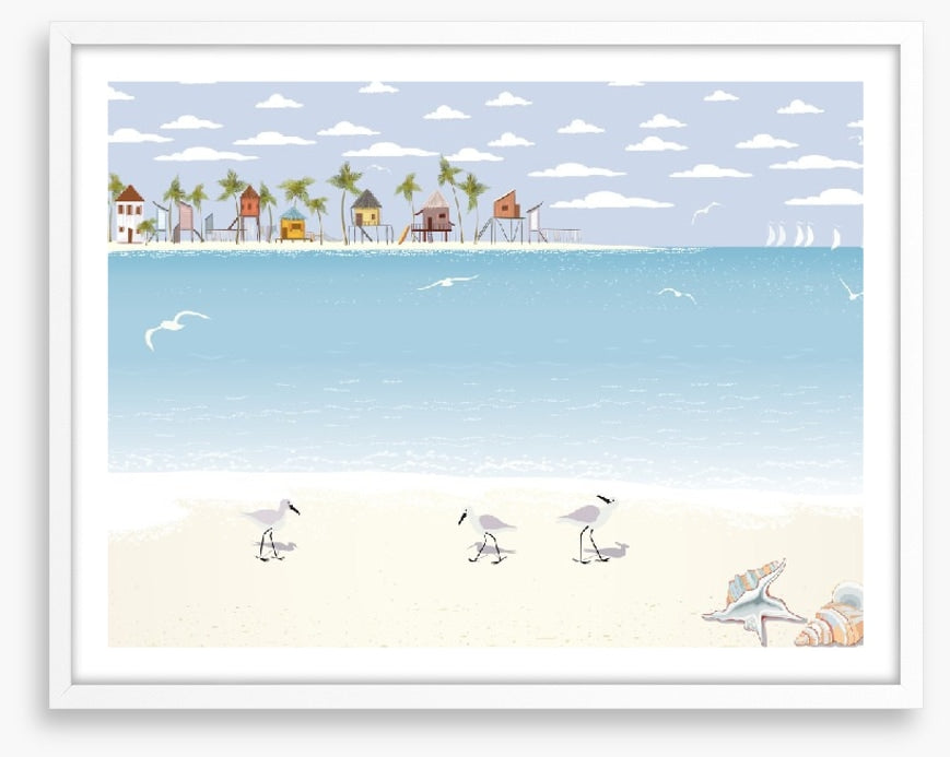 Gulls on the beach