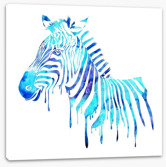 Dripping zebra blue