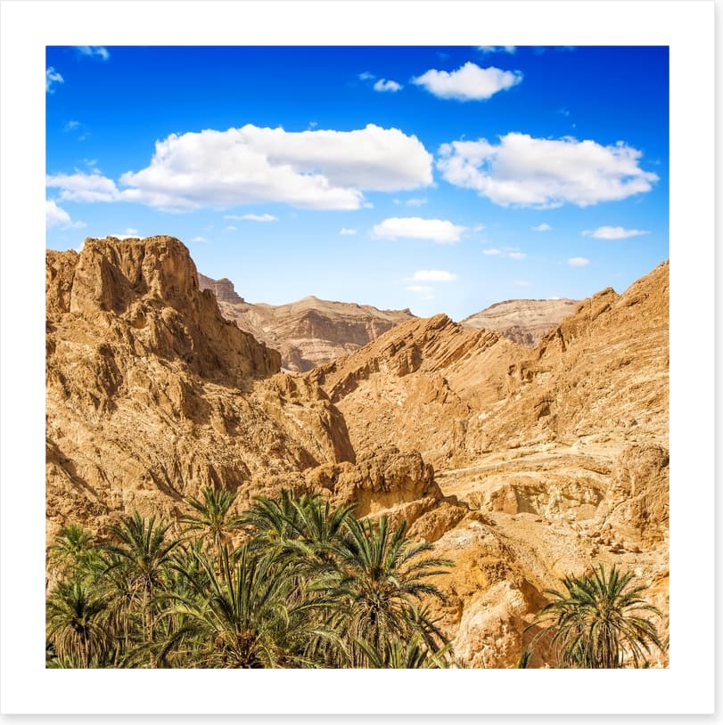 Chebika oasis, Tunisia