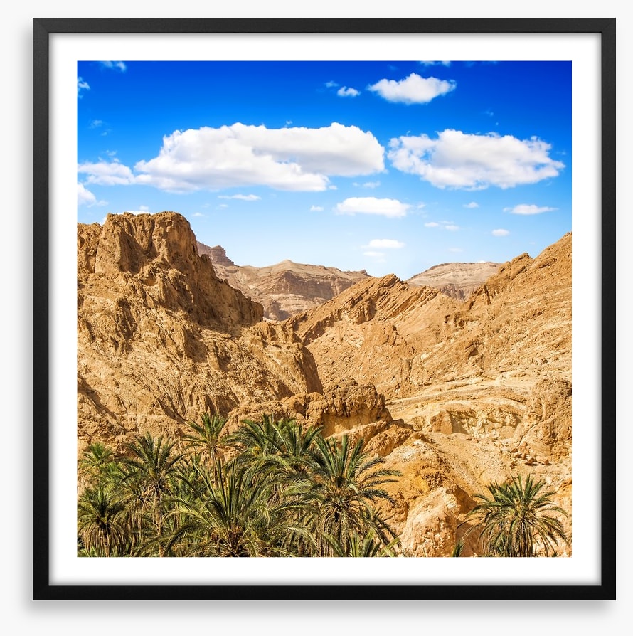 Chebika oasis, Tunisia