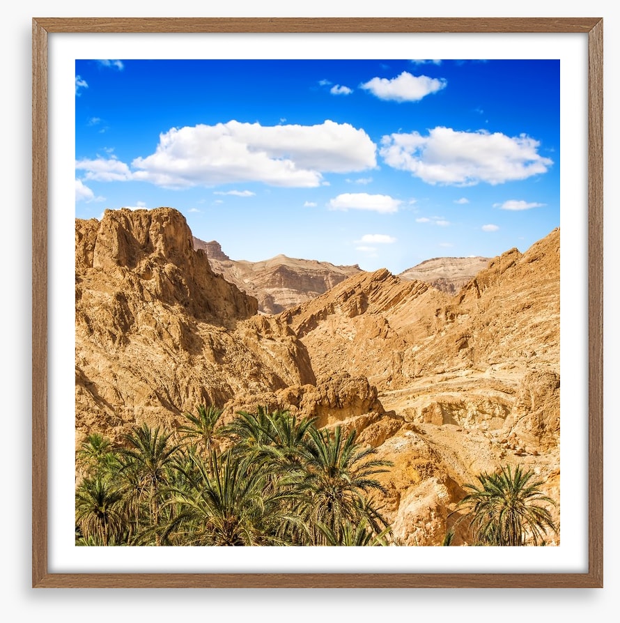 Chebika oasis, Tunisia