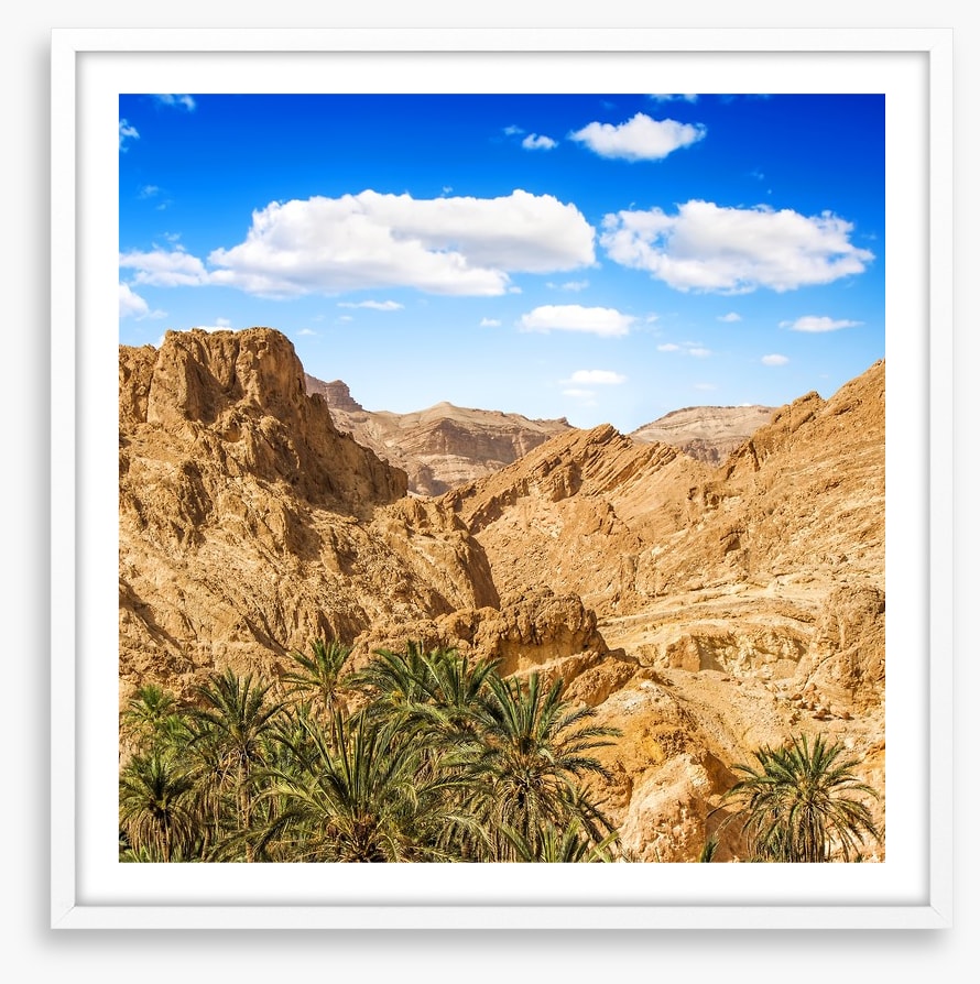 Chebika oasis, Tunisia