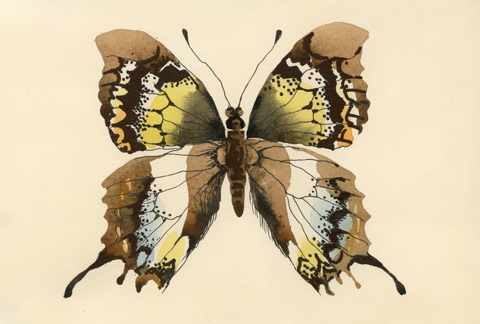 Aquarelle butterfly