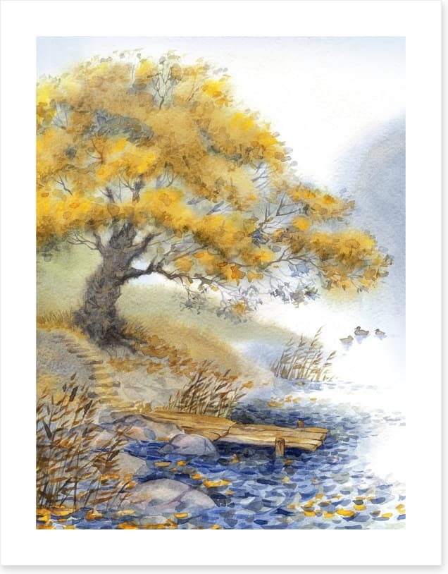 Old tree by the river