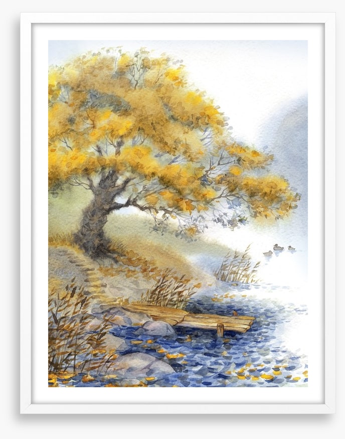 Old tree by the river