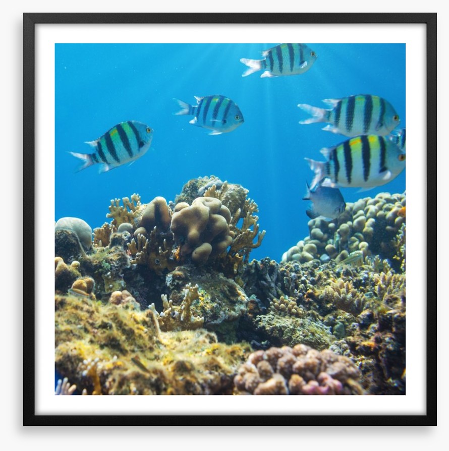 Underwater