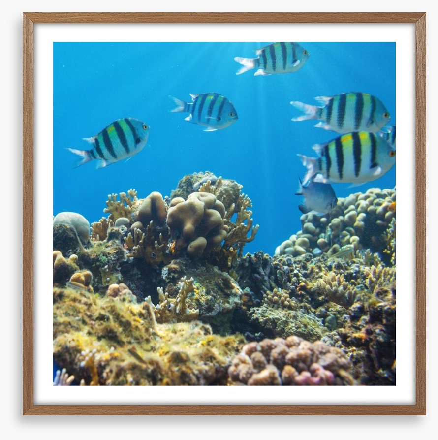 Underwater
