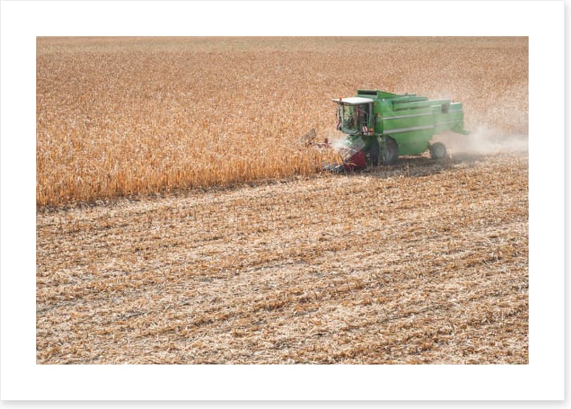 Agriculture
