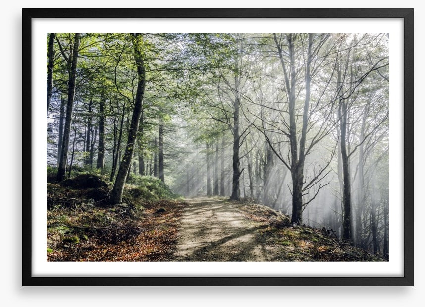 Sunrays on the mystic road
