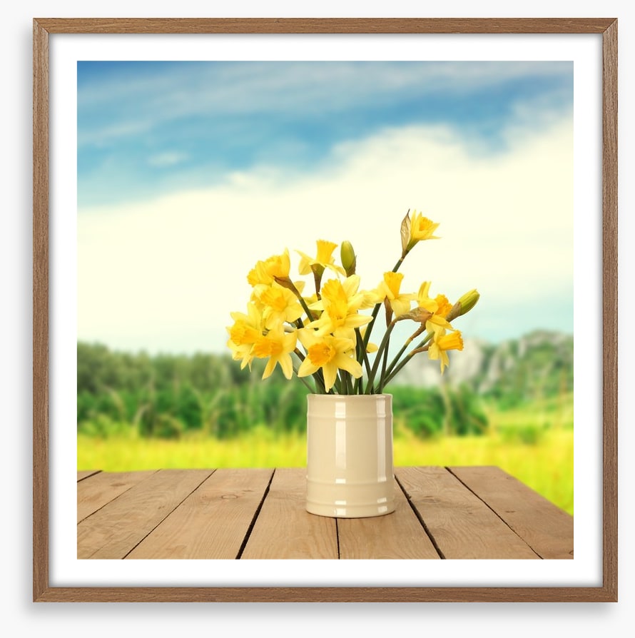 Yellow daffodils