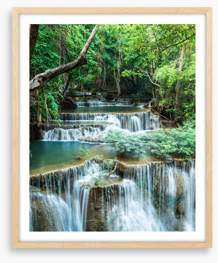 Deep forest falls
