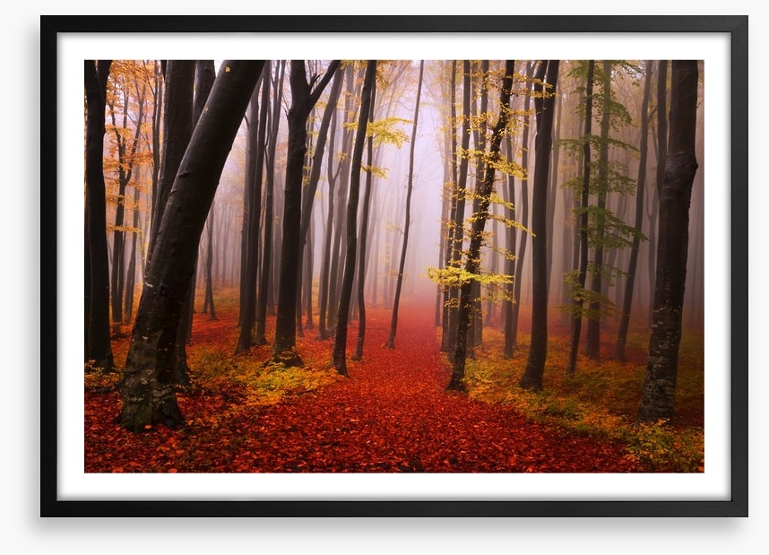 Autumn in the fairytale forest