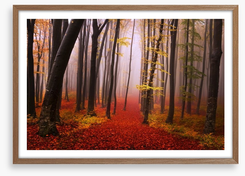 Autumn in the fairytale forest