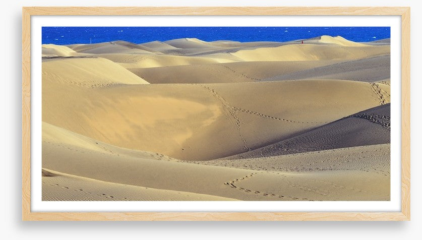 Desert