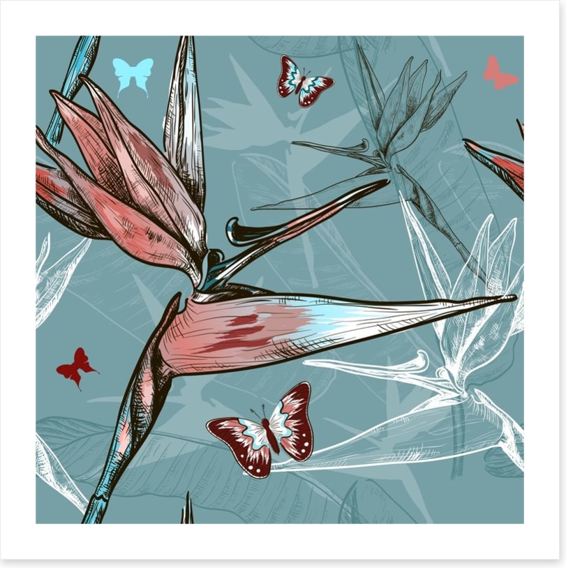 Butterflies
