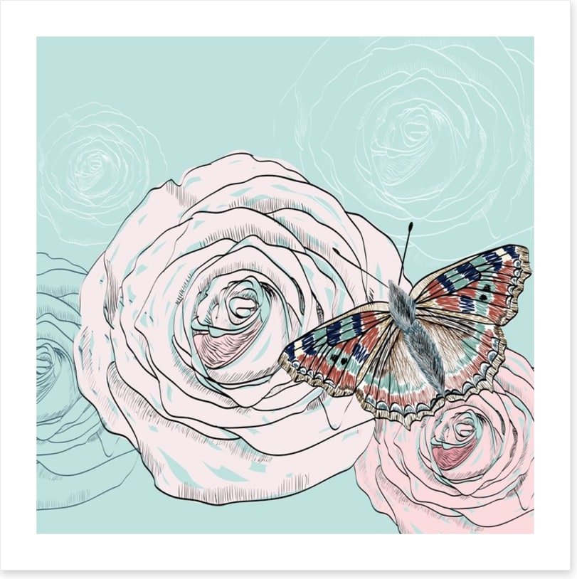 The butterfly and the rose