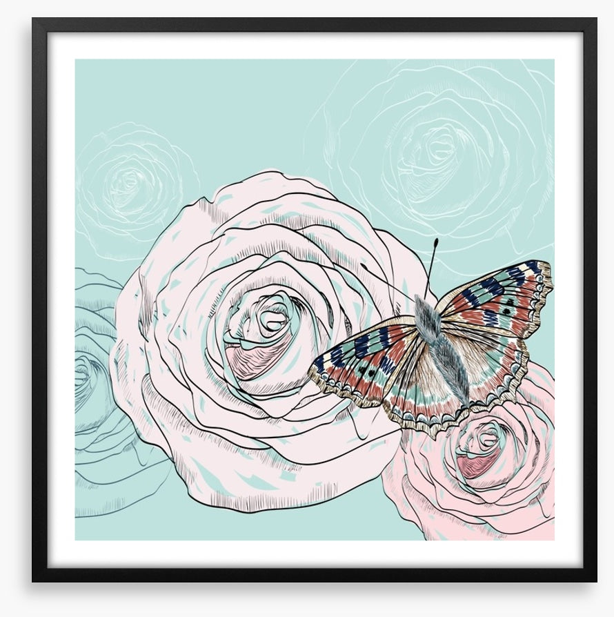 The butterfly and the rose
