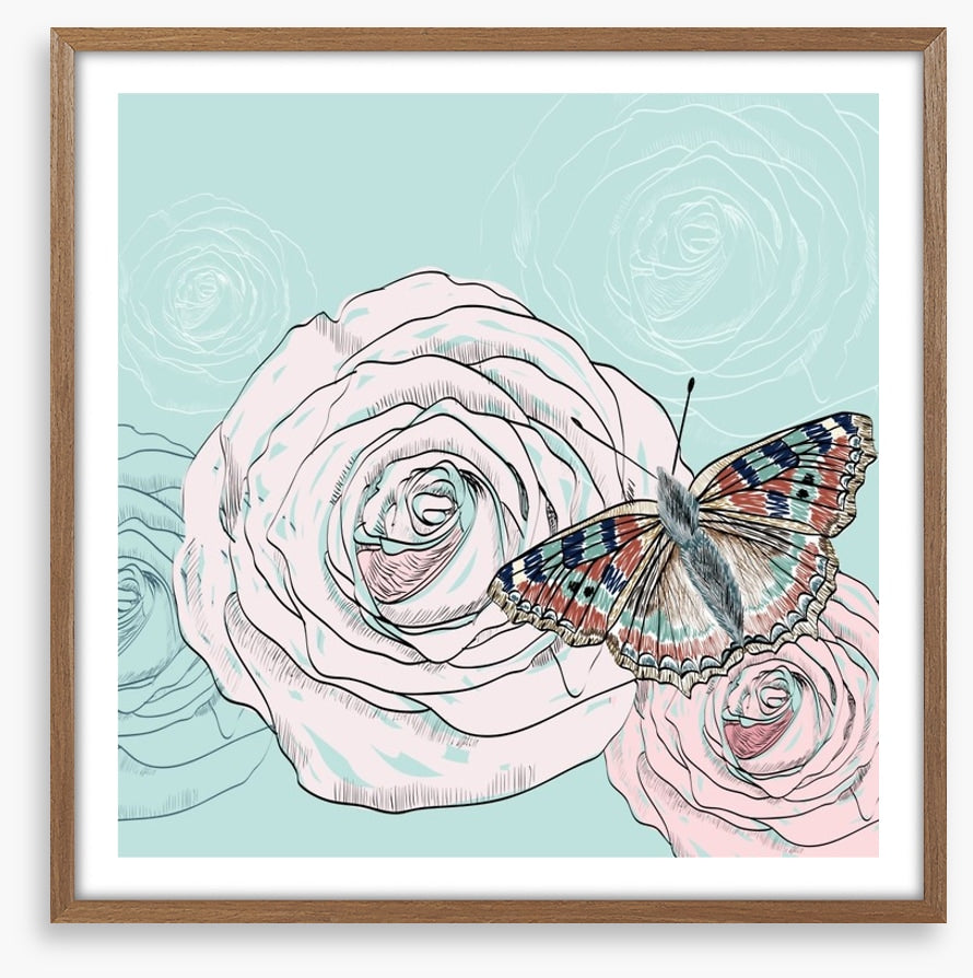 The butterfly and the rose