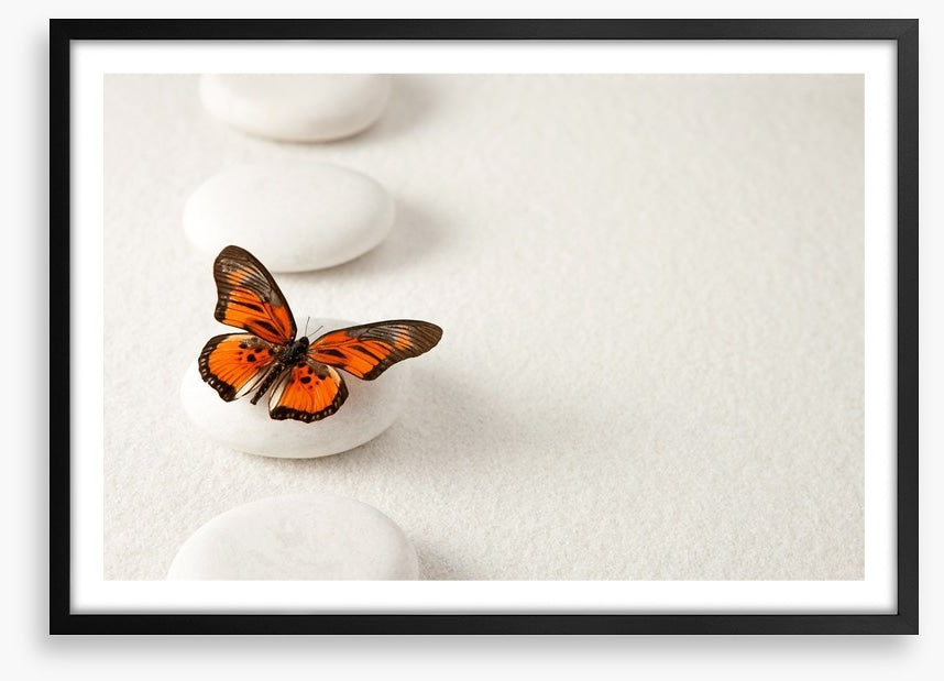 White stones and butterfly