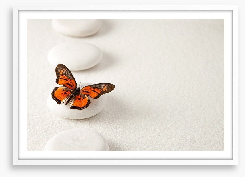 White stones and butterfly