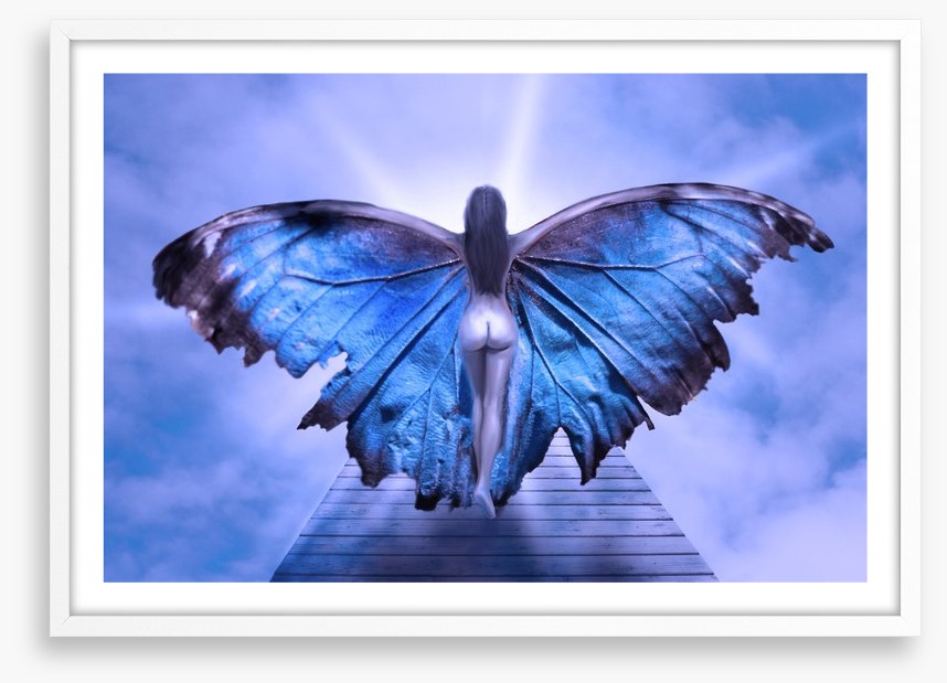 Metamorphosis