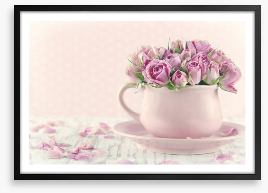 Antique roses