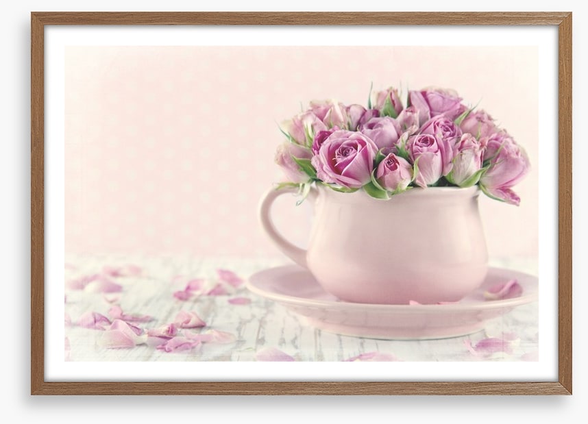 Antique roses