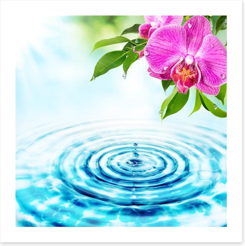 Rejuvenation