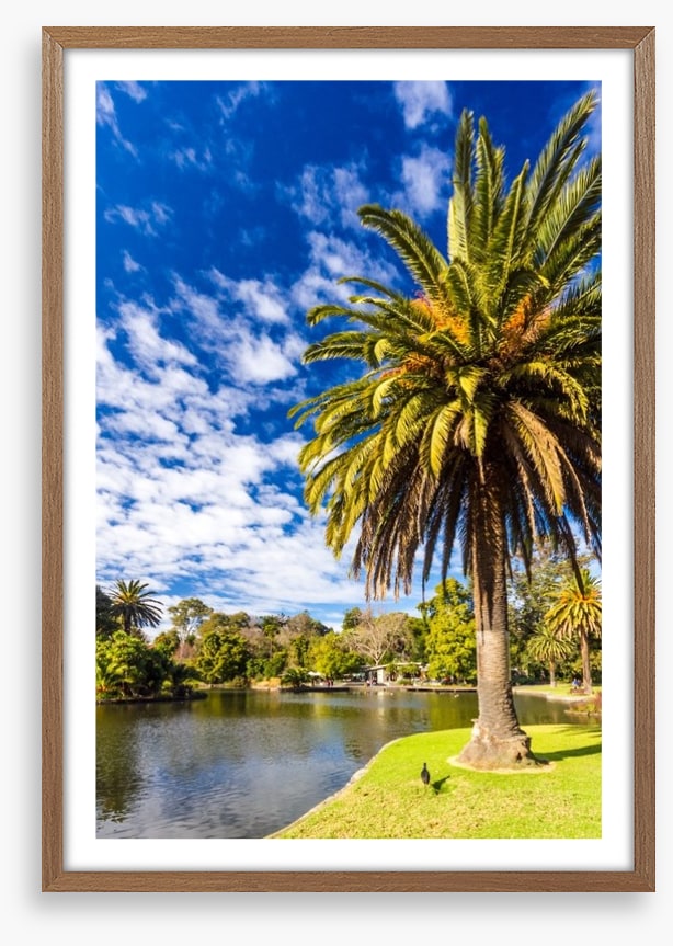 By the ornamental lake