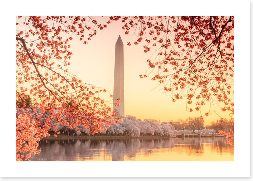 Golden blossom memorial
