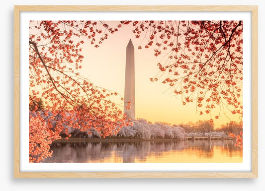 Golden blossom memorial