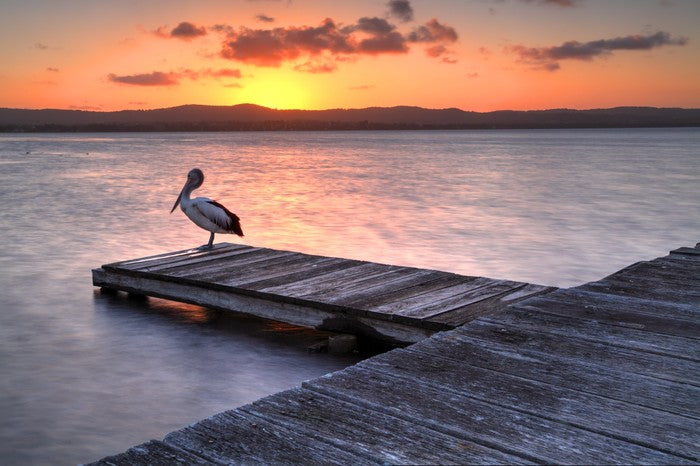 Sunset at Long Jetty
