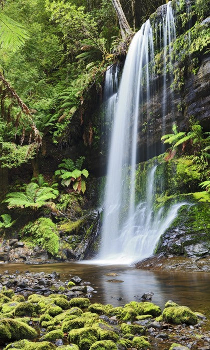 Russell Falls, Tasmania
